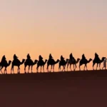 Paseo en camello por el desierto del Sahara en el tour 4 dias desde Marrakech al desierto