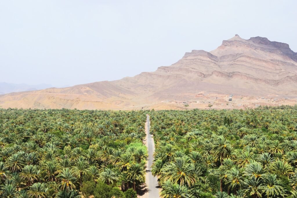 Excursion Desierto Marrakech | Guía y Tours Privados