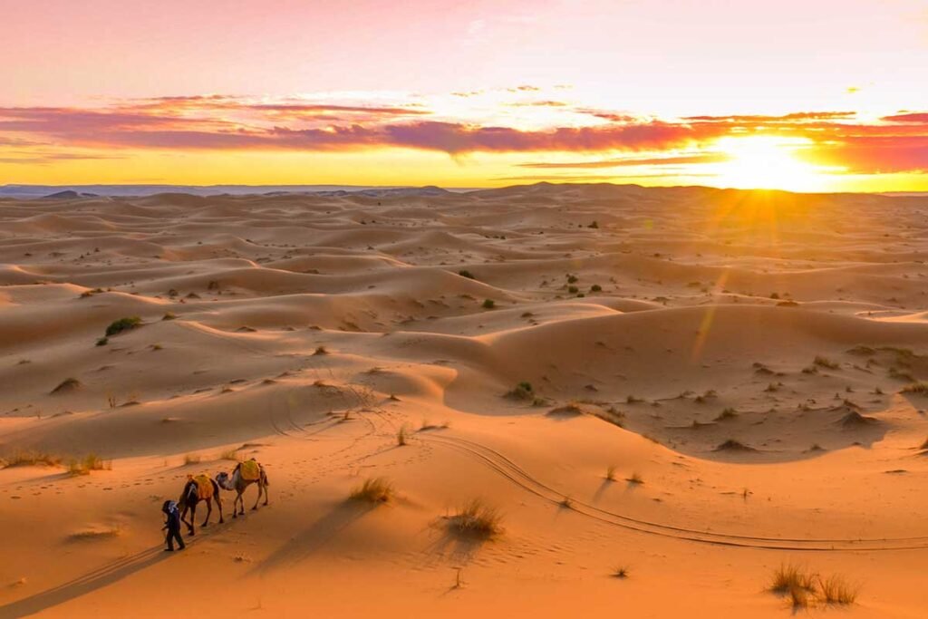 Desierto Merzouga ​: Las 9 Mejores Actividades y Tours 